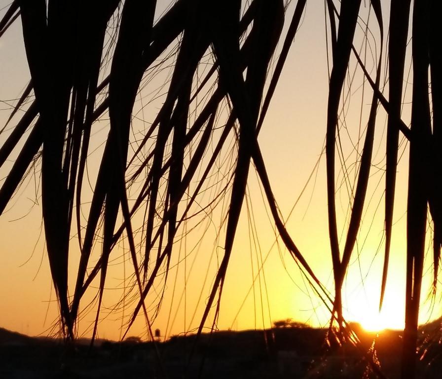 ホテルLapa Lapa Lobitos Bungalows エクステリア 写真
