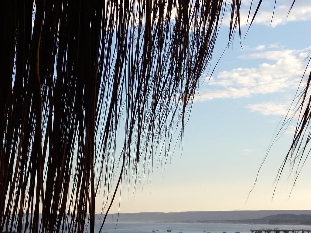 ホテルLapa Lapa Lobitos Bungalows エクステリア 写真
