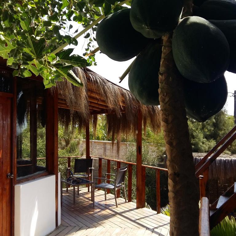 ホテルLapa Lapa Lobitos Bungalows エクステリア 写真